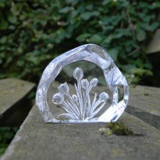 Capredoni Dartington Crystal Flower TULIP Paperweight szkło dekoracyjne * przycisk do papieru