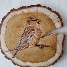 Wróbel, obraz na drewnie, portret ptaka, dekoracja drewniana