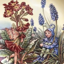 The Polyanthus Fairy ❀ڿڰۣ❀ Elfy - leśne duszki ❀ڿڰۣ❀ C.M. Barker