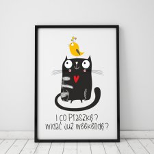 plakat z kotem. I co ptaszkę? Widać już weekendę? (format A3)