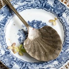 Stara, duża łyżka w kształcie muszli do serwowania potraw