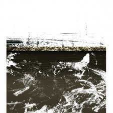 GOLDY FIELD - plakat 50x70 cm