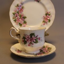 Filiżanka Paragon Anglia zestaw śniadaniowy Mayflower Piękny zestaw Śniadaniowy Angielska przepiękna porcelana