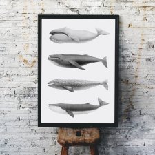 Plakat obraz walenie 40x50 cm