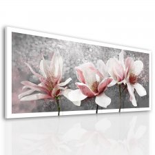 Obraz na płotnie do salonu - KWIATY MAGNOLIA 147x60cm 03177