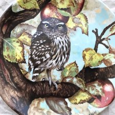 COALPORT ❀ڿڰۣ❀ Michael B. Sawdy - Little Owl ❀ڿڰۣ❀ Limitowana edycja