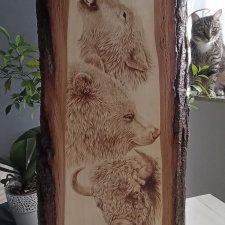 Królowie Bieszczad - wilk, niedźwiedź, żubr. Obraz wypalany na drewnie, dekoracja drewniana