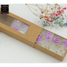 Domino żywica motyle