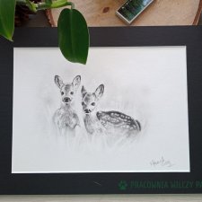 Sarenki, rysunek ołówkiem, obraz, grafika