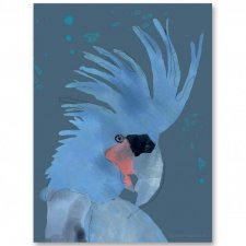 PLAKAT dla dzieci BLUE PARROT