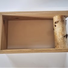 Drewniana półka na książki, z drewna, z pniem brzozy