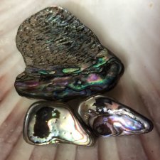 Unikatowy komplet srebro i muszla abalone /  paua- kolczyki i Brosza - Silver
