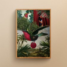 Plakat Koliber 50x70 cm