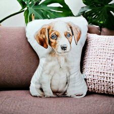 Przytulanka piesek ozdobna poduszka z pieskiem maskotka z psem poduszka pies spaniel bretoński