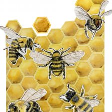 Plakat A3 "Pszczoły"