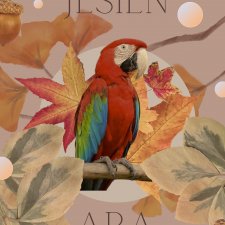 JESIEŃ ARA A3