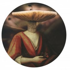 Tapeta okrągła dots Magic Mushroom