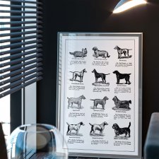 Plakat - 40x50 cm - Rasy psów, vintage