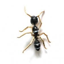 Broszka mrówka