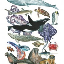 Plakat Zwierzęta Oceanu