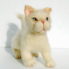 Biały kotek Georges