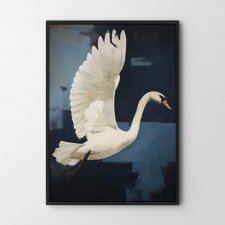 Plakat Łabędź ptaki 30x40 cm