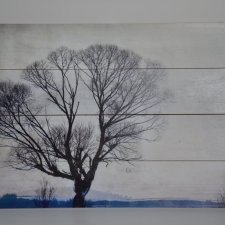 obraz dekoracja drzewo na sosnowych deskach