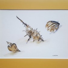 Obraz ręcznie malowany muszelki morskie