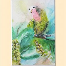 Obraz akwarelowy ręcznie malowany Ptak papuga
