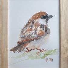 Akwarela ręcznie malowana  "Wróbel" ptak +rama