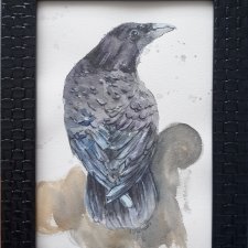 Akwarela ręcznie malowana kruk ptak +rama