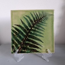 Kafelka decor z paprocią
