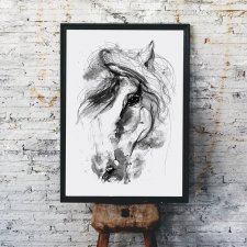 Plakat grafika koń konie 50x70 cm B2