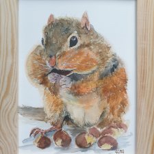 Akwarela ręcznie malowana  Burunduk wiewiórka +rama