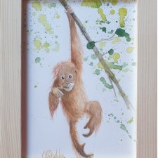 Akwarela ręcznie malowana "Małpka" +rama