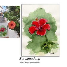 Obraz ręcznie malowany Hiszpania hibiskus +rama