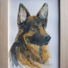 Akwarela ręcznie malowana  "Owczarek" +rama pies