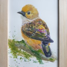 Akwarela ręcznie malowana  "Ptaszek" +rama ptaki