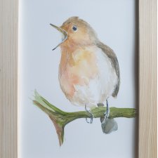 Akwarela ręcznie malowana  "Rudzik" ptak +rama