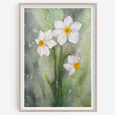 Narcyzy. Oyginalna akwarela A3
