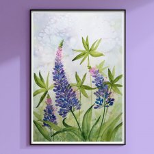 Łubin. Oyginalna akwarela 30x40cm