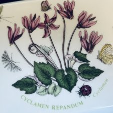 Rarytas portmeirion Botanic Garden by Susan Williams Ellis - przykrywka