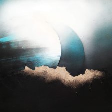 Callainus confusio/Neptun(II)