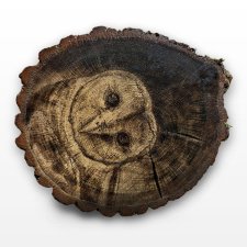 Sowa - pirografia (25x30 cm) obraz wypalany na drewnie, woodburning, pyrography art