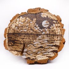 Morze - pirografia (17x18 cm) - obraz wypalany na drewnie, woodburning, pyrography art