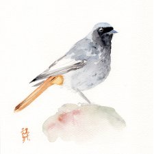 Oryginalna akwarela. Kopciuszek