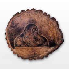 Kot - pirografia (34x31 cm) - obraz wypalany na drewnie, z kotem, dla kociarza, dla miłośnika kotów, woodburning, pyrography art