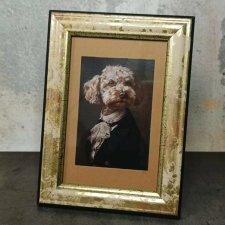 Obrazek w ramce " Pudel wiktoriański"