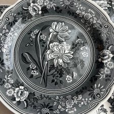 Unikacik! ❀ڿڰۣ❀ Spode Archive Collection - Georgian Series ❀ڿڰۣ❀ Botanical ❀ڿڰۣ❀ Patera