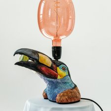 Bird Andigena laminirostris named Javier